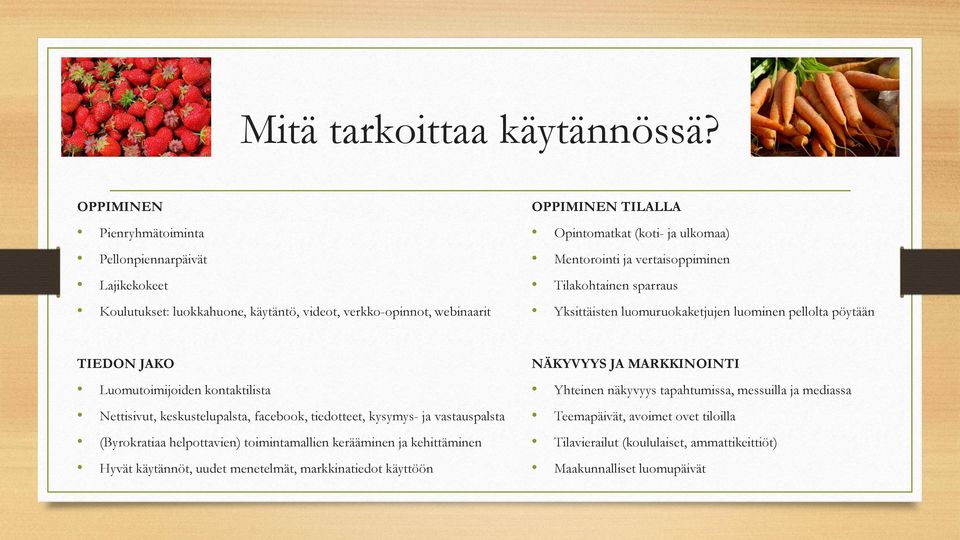 Mentorointi ja vertaisoppiminen Tilakohtainen sparraus Yksittäisten luomuruokaketjujen luominen pellolta pöytään TIEDON JAKO Luomutoimijoiden kontaktilista Nettisivut, keskustelupalsta,