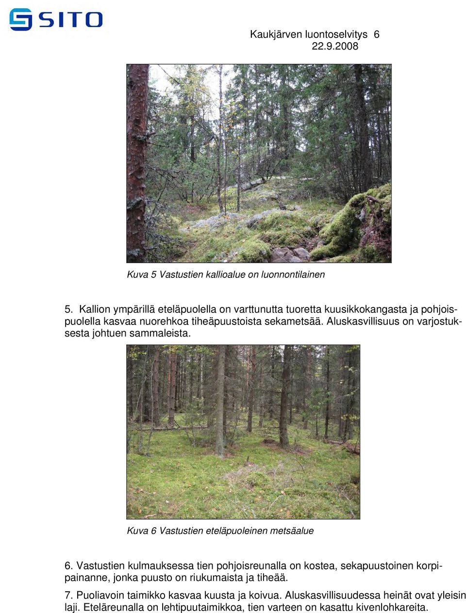 Aluskasvillisuus on varjostuksesta johtuen sammaleista. Kuva 6 Vastustien eteläpuoleinen metsäalue 6.