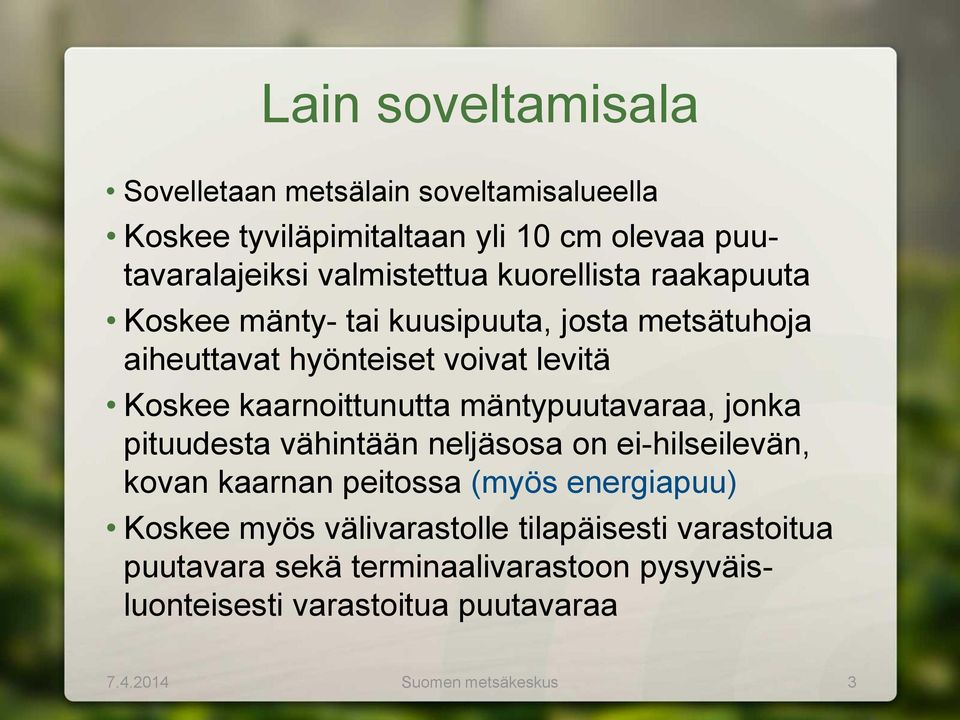 mäntypuutavaraa, jonka pituudesta vähintään neljäsosa on ei-hilseilevän, kovan kaarnan peitossa (myös energiapuu) Koskee myös