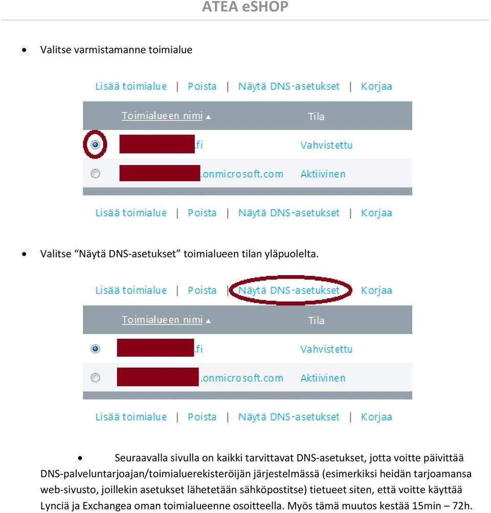 DNS-palveluntarjoajan/toimialuerekisteröijän järjestelmässä (esimerkiksi heidän tarjoamansa web-sivusto,