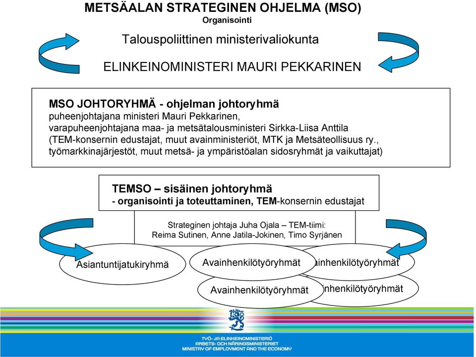 , työmarkkinajärjestöt, muut metsä- ja ympäristöalan sidosryhmät ja vaikuttajat) TEMSO sisäinen johtoryhmä - organisointi ja toteuttaminen, TEM-konsernin edustajat Strateginen