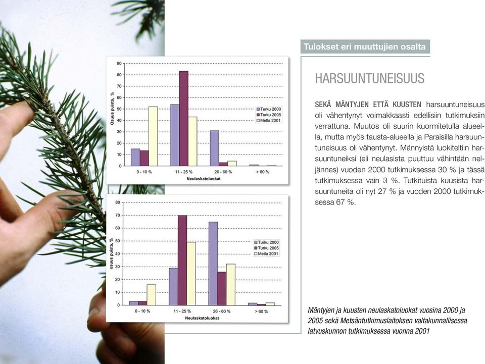 Männyistä luokiteltiin harsuuntuneiksi (eli neulasista puuttuu vähintään neljännes) vuoden 2000 tutkimuksessa 30 % ja tässä tutkimuksessa vain 3 %.