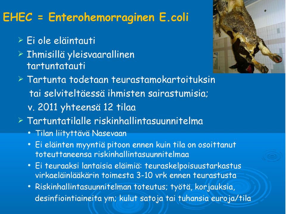 2011 yhteensä 12 tilaa Tartuntatilalle riskinhallintasuunnitelma Tilan liityttävä Nasevaan Ei eläinten myyntiä pitoon ennen kuin tila on osoittanut