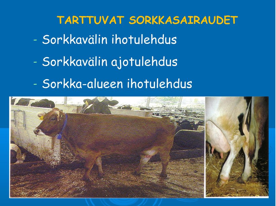 - Sorkkavälin ajotulehdus