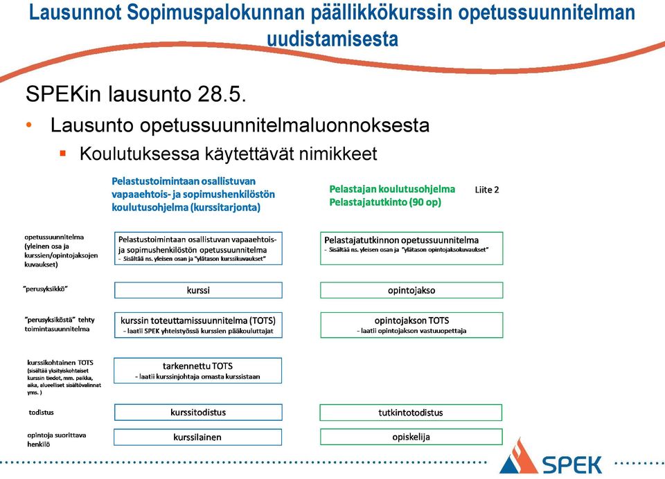 uudistamisesta SPEKin lausunto 28.5.