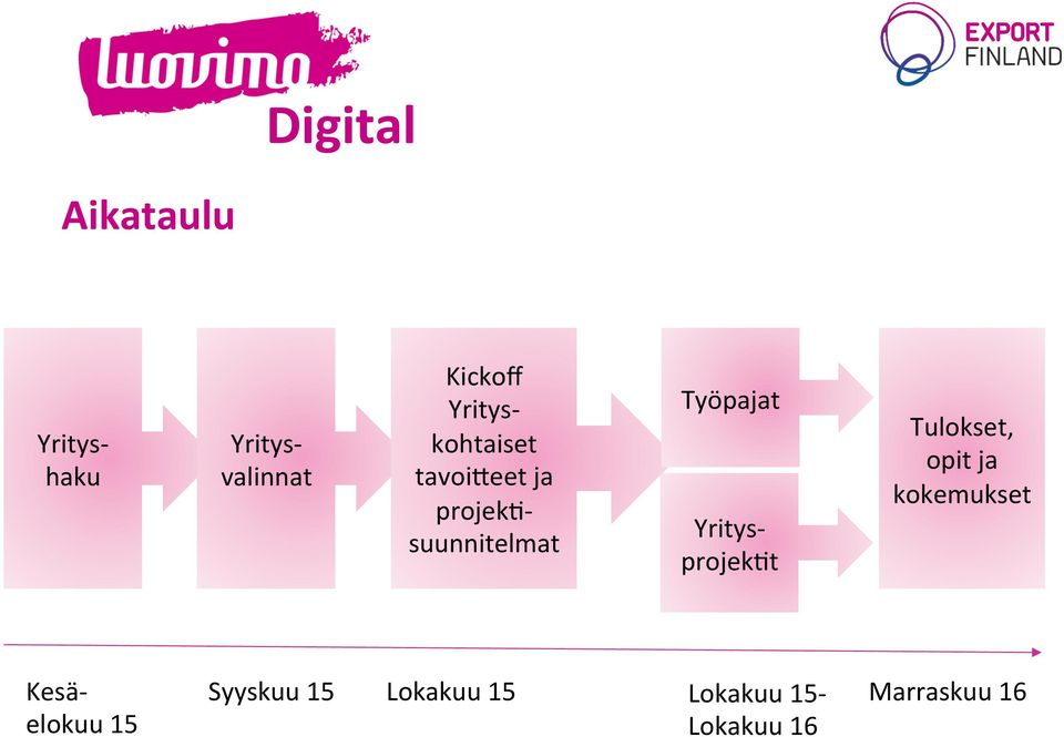 Yritys- projeket Tulokset, opit ja kokemukset Kesä-