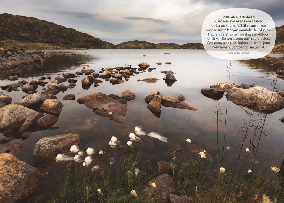 Alue on lintujen paratiisi, ja Kalastajasaarentoon on äskettäin perustettu