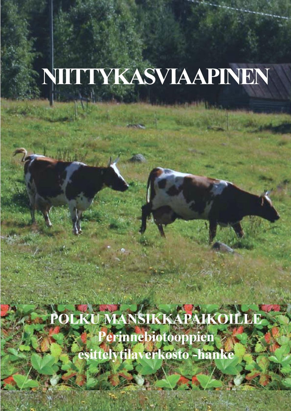 MANSIKKAPAIKOILLE