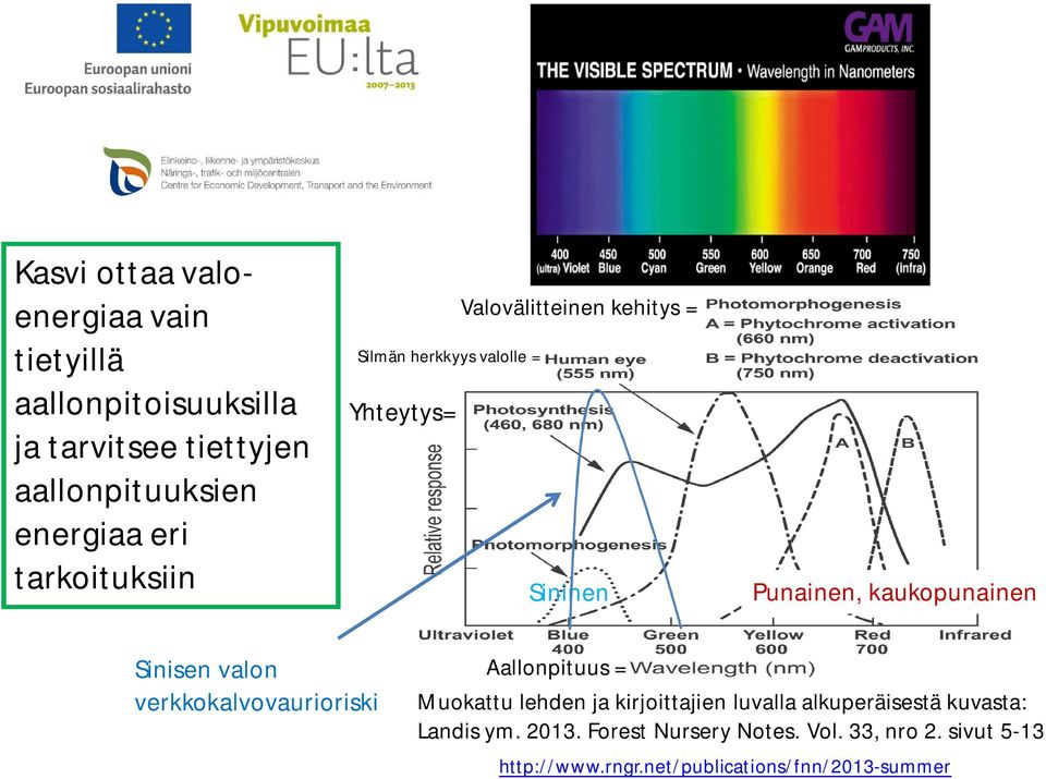 Sinisen valon verkkokalvovaurioriski Aallonpituus = Muokattu lehden ja kirjoittajien luvalla alkuperäisestä