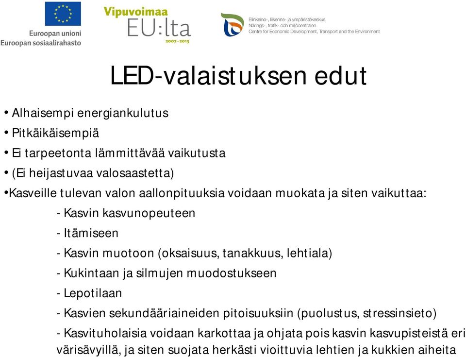 tanakkuus, lehtiala) - Kukintaan ja silmujen muodostukseen - Lepotilaan - Kasvien sekundääriaineiden pitoisuuksiin (puolustus, stressinsieto)