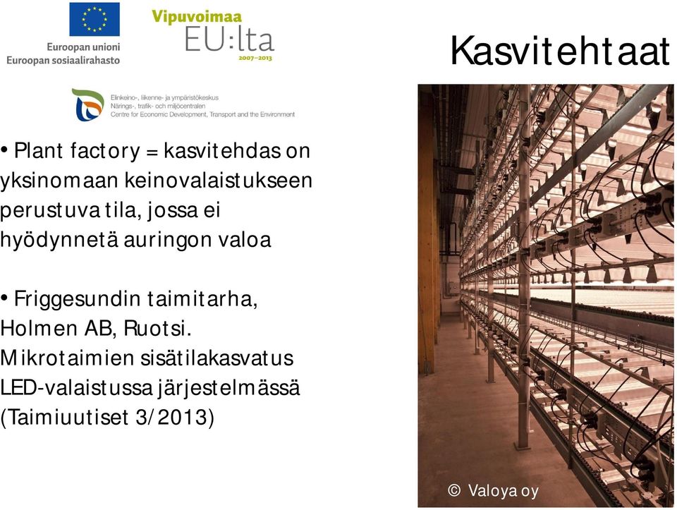 valoa Friggesundin taimitarha, Holmen AB, Ruotsi.