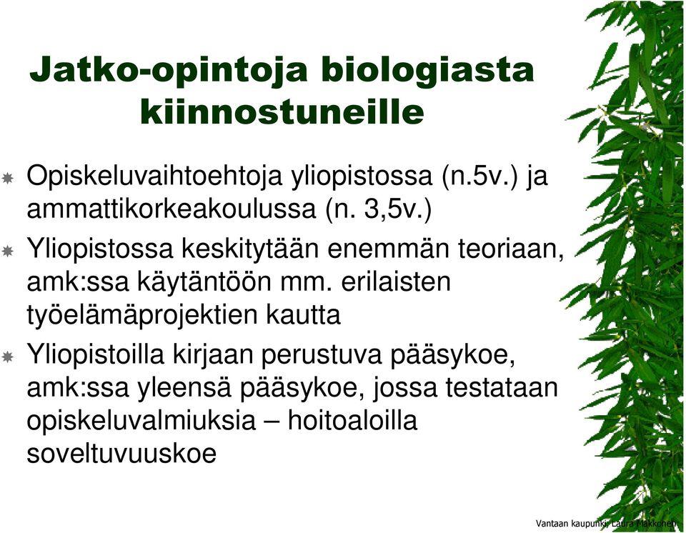 ) Yliopistossa keskitytään enemmän teoriaan, amk:ssa käytäntöön mm.