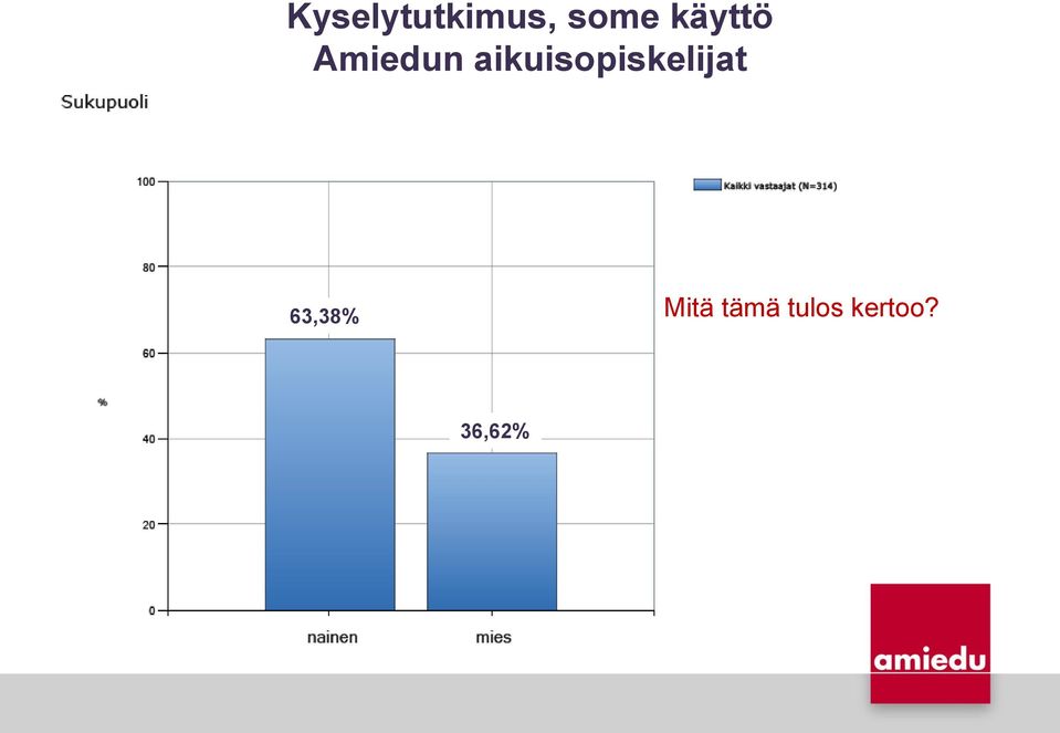 aikuisopiskelijat