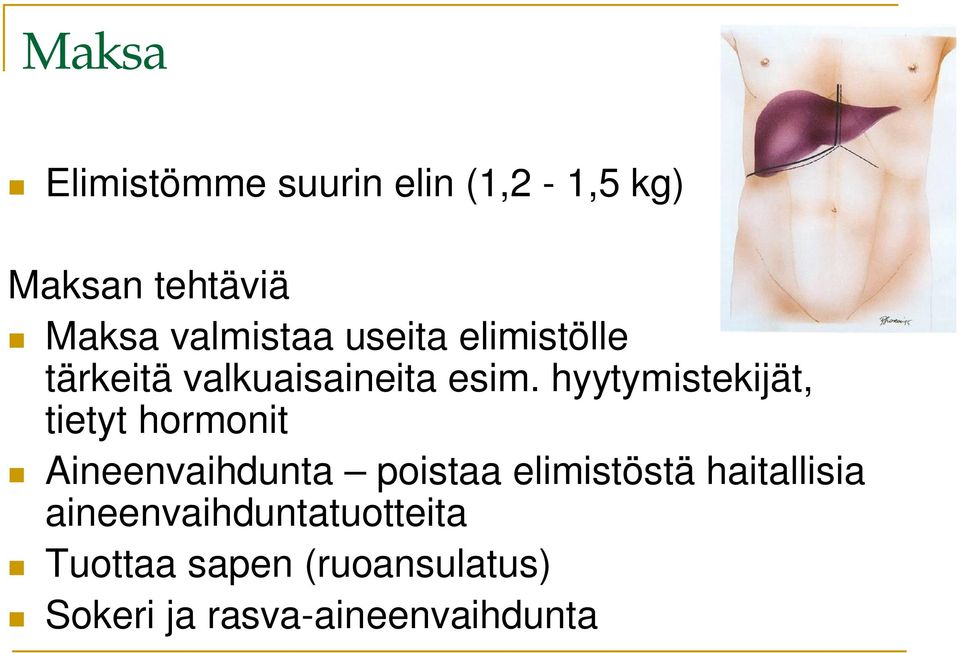 hyytymistekijät, tietyt hormonit Aineenvaihdunta poistaa elimistöstä