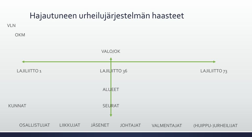 LAJILIITTO 73 ALUEET KUNNAT SEURAT OSALLISTUJAT