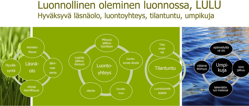 ääni- mai- Luonto jatkuu minuun Luontoyhteys luontokohde lähellä Tilantuntu riittämä ttömyys