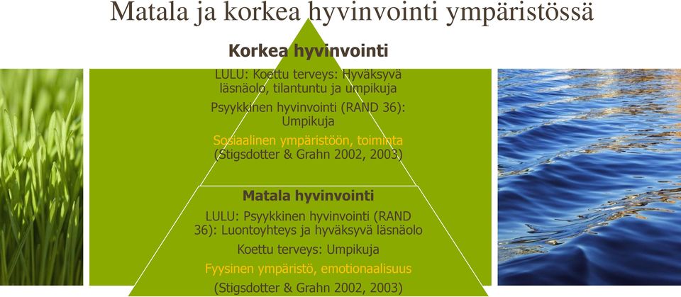 (Stigsdotter & Grahn 2002, 2003) Matala hyvinvointi LULU: Psyykkinen hyvinvointi (RAND 36): Luontoyhteys