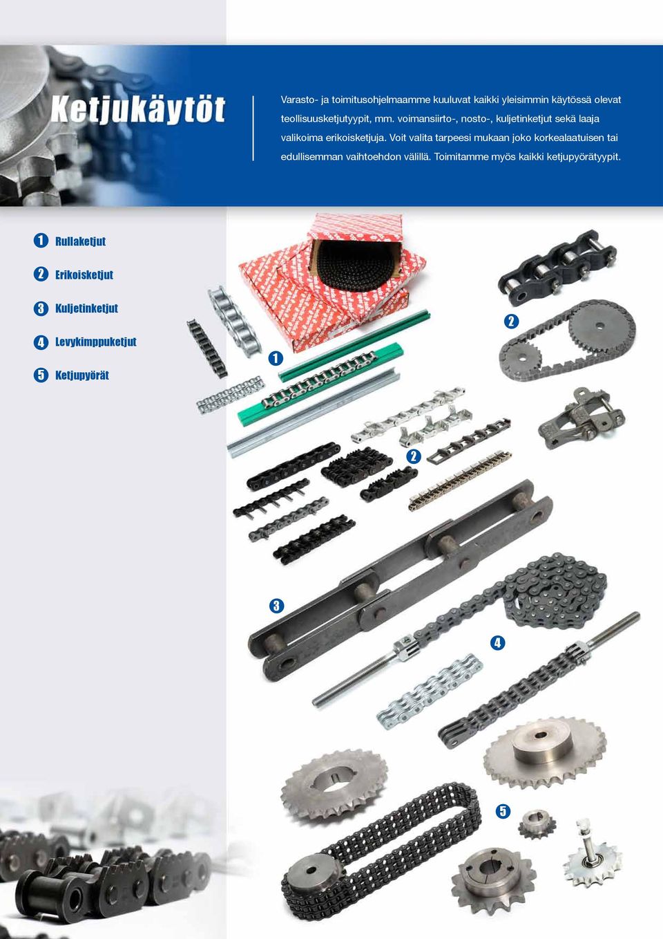 voimansiirto-, nosto-, kuljetinketjut sekä laaja valikoima erikoisketjuja.