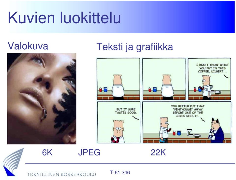 Valokuva