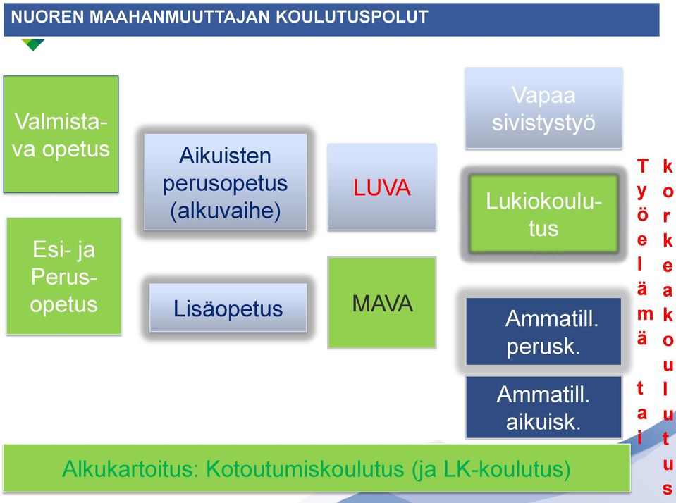 Perusopetus Lukiokoulutus Ammatill. perusk. Ammatill. aikuisk.