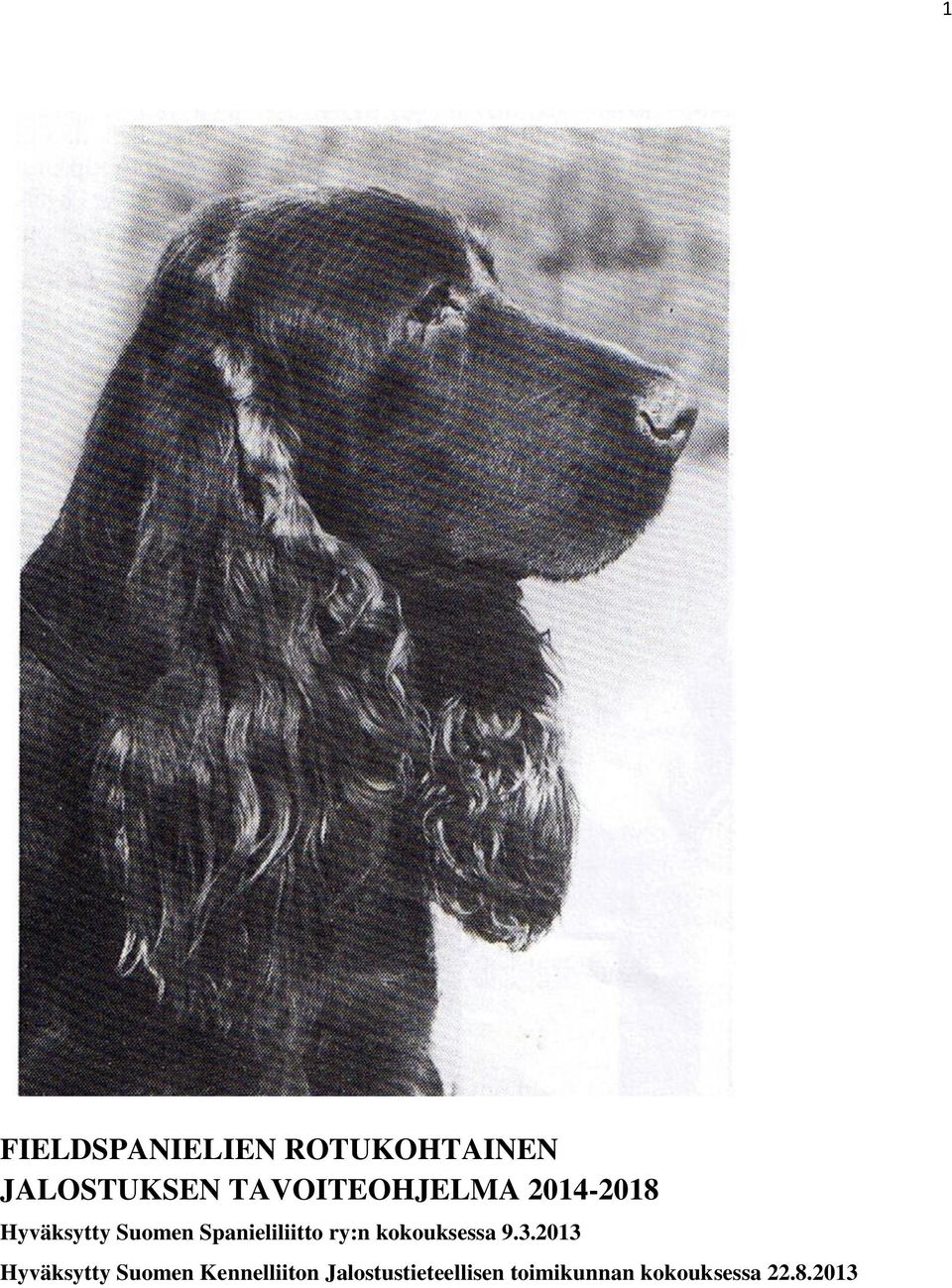 Spanieliliitto ry:n kokouksessa 9.3.