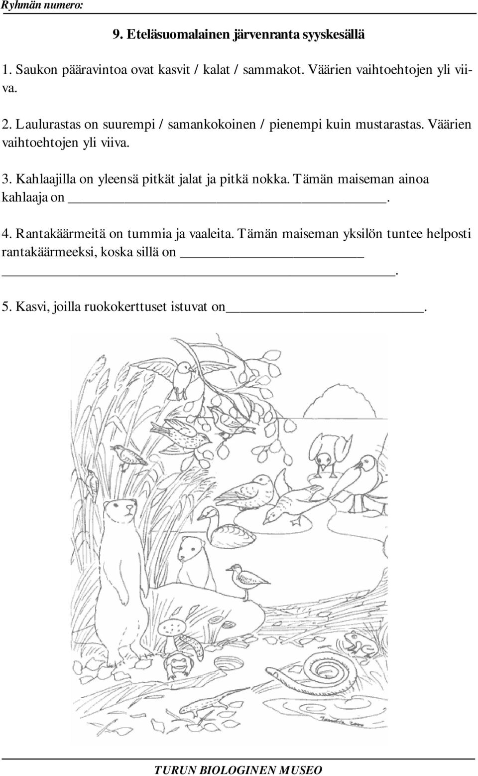 Väärien vaihtoehtojen yli viiva. 3. Kahlaajilla on yleensä pitkät jalat ja pitkä nokka. Tämän maiseman ainoa kahlaaja on.