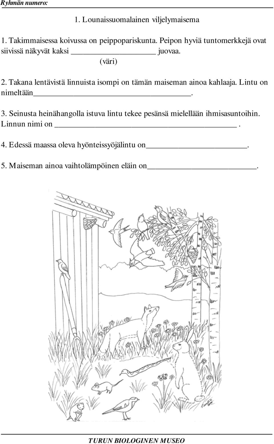 Takana lentävistä linnuista isompi on tämän maiseman ainoa kahlaaja. Lintu on nimeltään. 3.