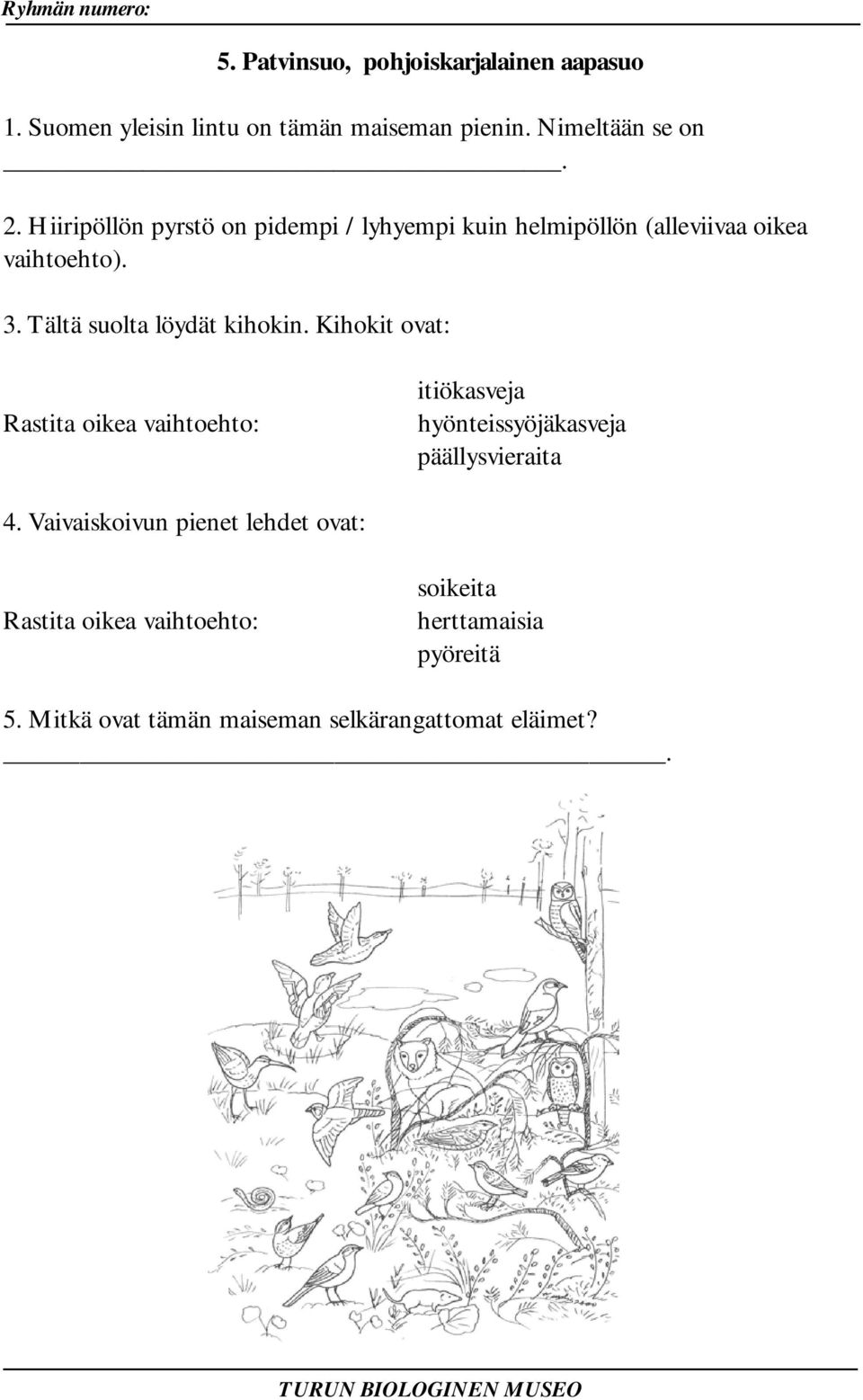 Tältä suolta löydät kihokin.