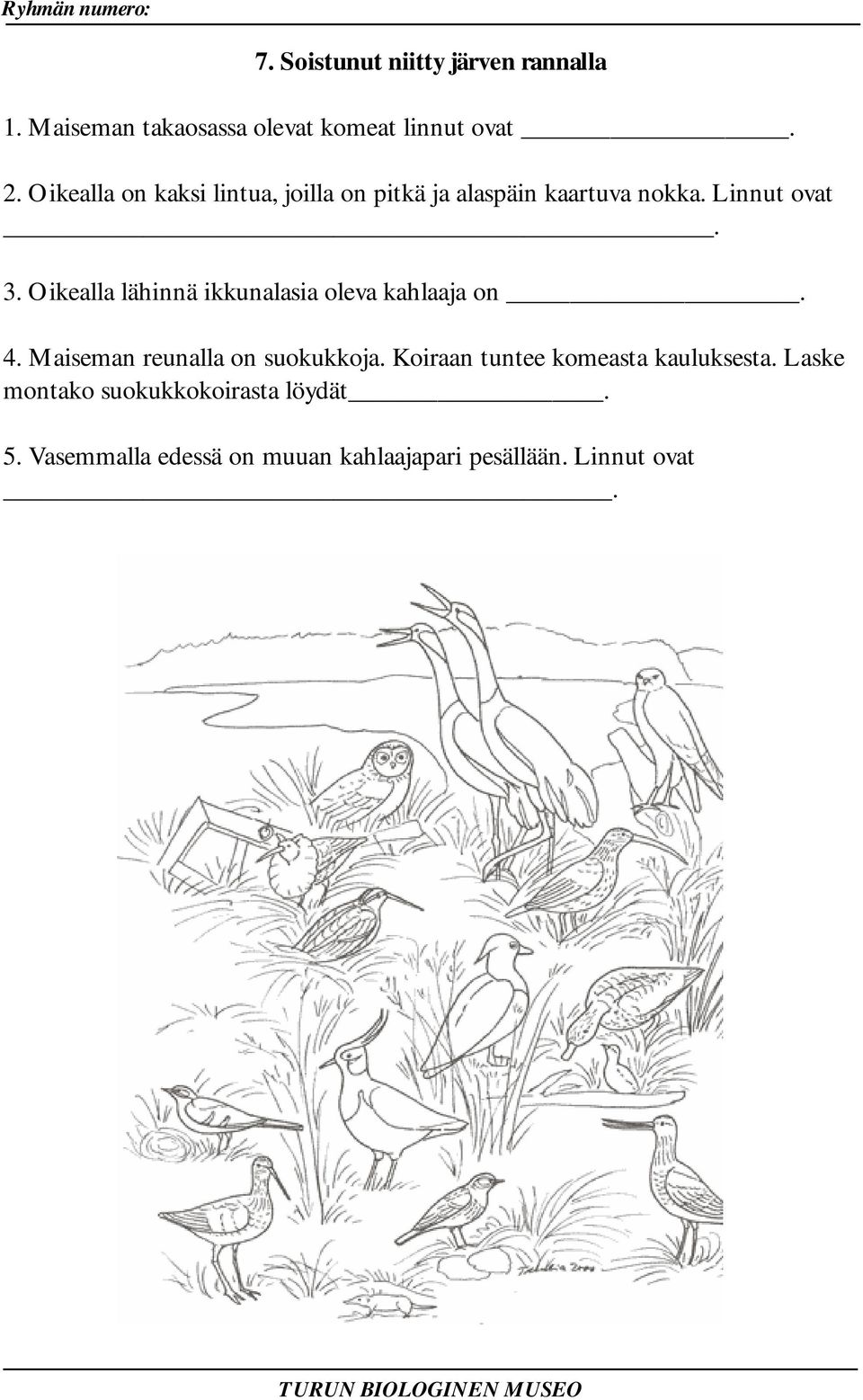 Oikealla lähinnä ikkunalasia oleva kahlaaja on. 4. Maiseman reunalla on suokukkoja.