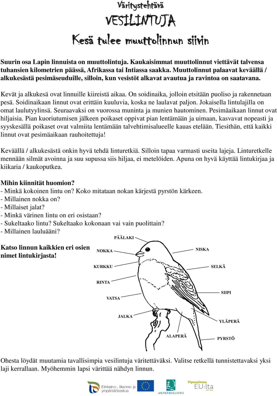 Muuttolinnut palaavat keväällä / alkukesästä pesimäseuduille, silloin, kun vesistöt alkavat avautua ja ravintoa on saatavana. Kevät ja alkukesä ovat linnuille kiireistä aikaa.