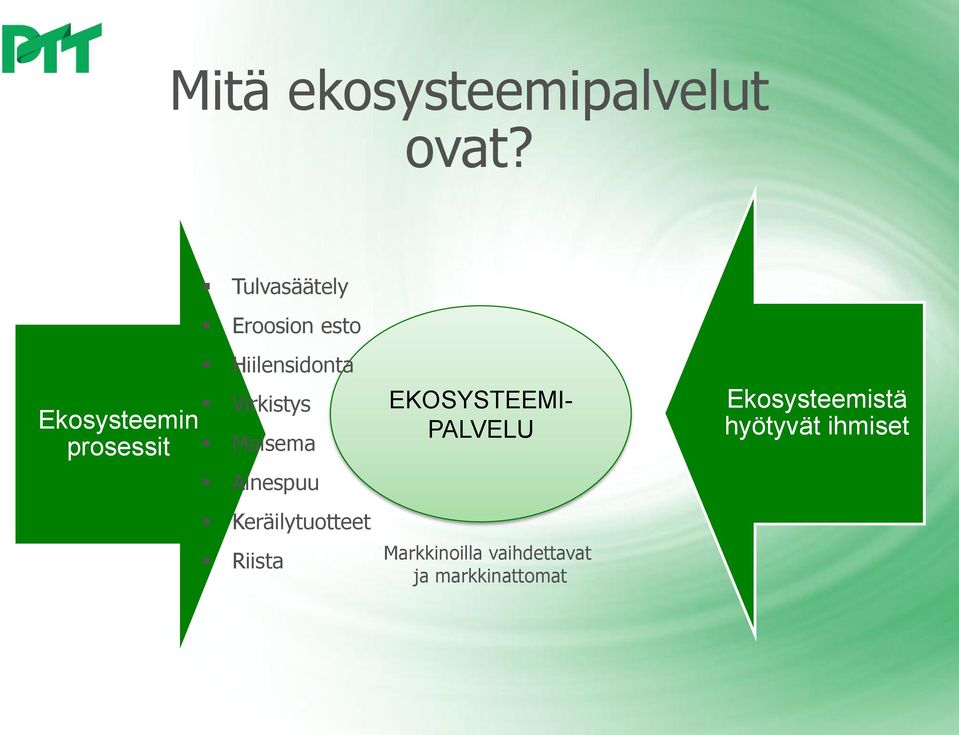 Hiilensidonta Virkistys Maisema Ainespuu Keräilytuotteet