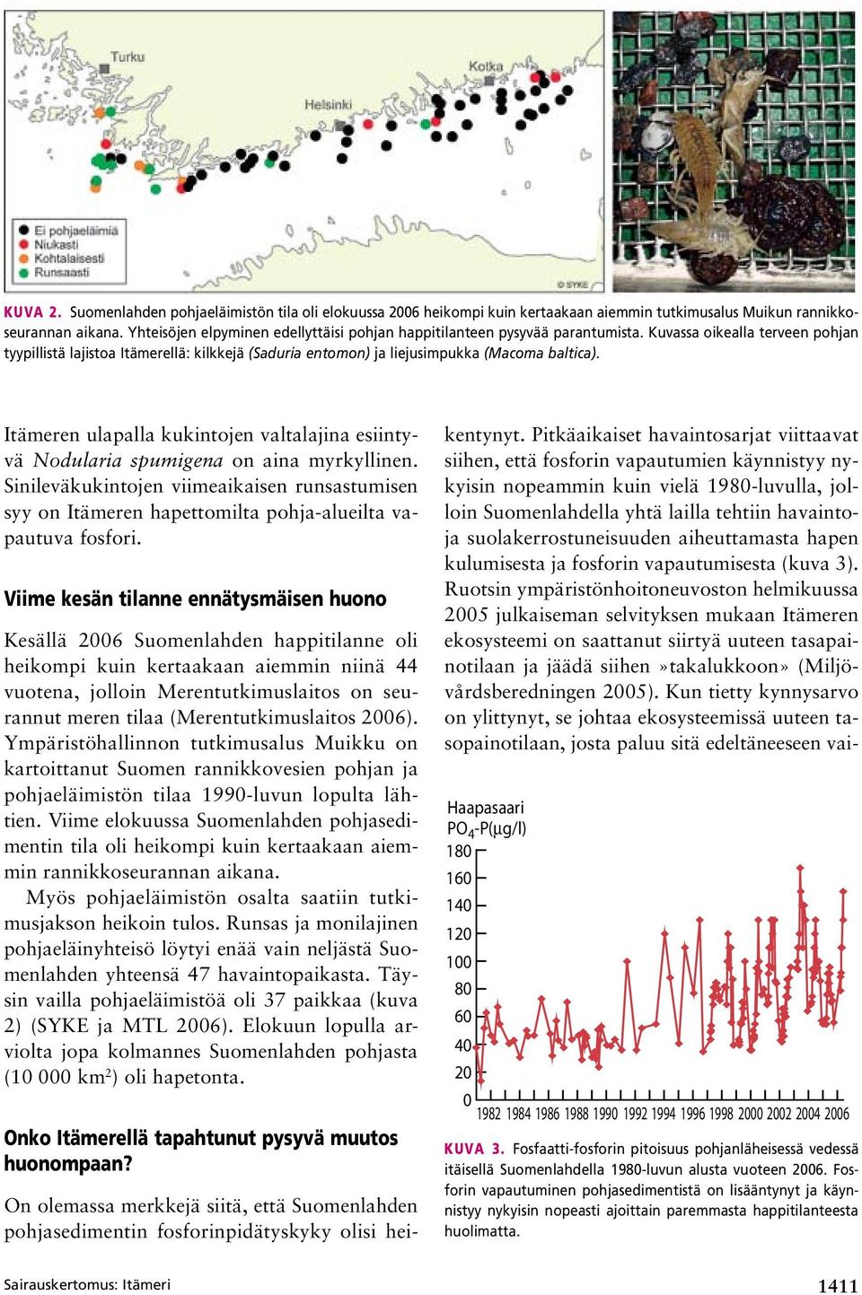 Kuvassa oikealla terveen pohjan tyypillistä lajistoa Itämerellä: kilkkejä (Saduria entomon) ja liejusimpukka (Macoma baltica).