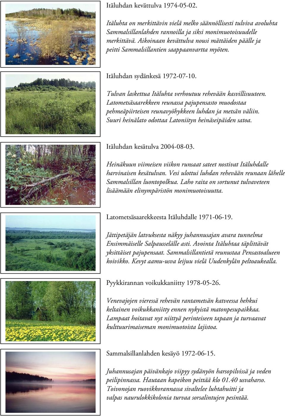 Latometsäsaarekkeen reunassa pajupensasto muodostaa pehmeäpiirteisen reunavyöhykkeen luhdan ja metsän väliin. Suuri heinälato odottaa Latoniityn heinäseipäiden satoa. Itäluhdan kesätulva 2004-08-03.