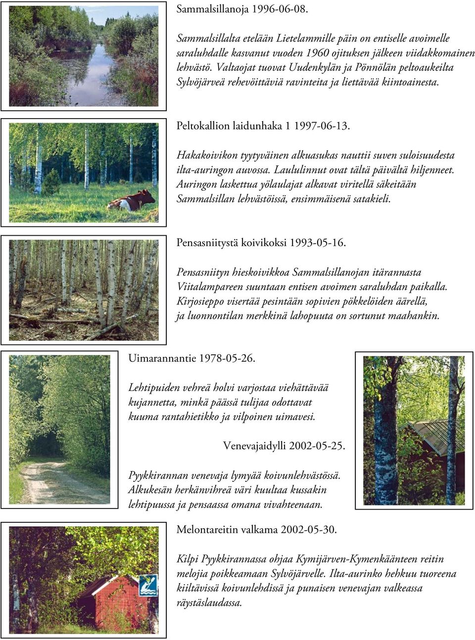 Hakakoivikon tyytyväinen alkuasukas nauttii suven suloisuudesta ilta-auringon auvossa. Laululinnut ovat tältä päivältä hiljenneet.
