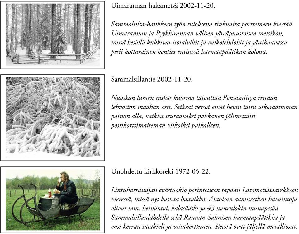 pesii kottarainen kenties entisessä harmaapäätikan kolossa. Sammalsillantie 2002-11-20. Nuoskan lumen raskas kuorma taivuttaa Pensasniityn reunan lehvästön maahan asti.
