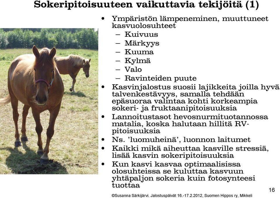 Lannoitustasot hevosnurmituotannossa matalia, koska halutaan hillitä RVpitoisuuksia Ns.