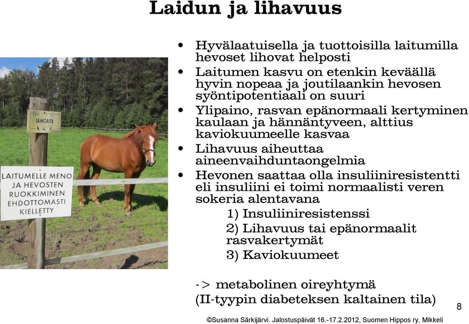 Lihavuus aiheuttaa aineenvaihduntaongelmia Hevonen saattaa olla insuliiniresistentti eli insuliini ei toimi normaalisti veren sokeria