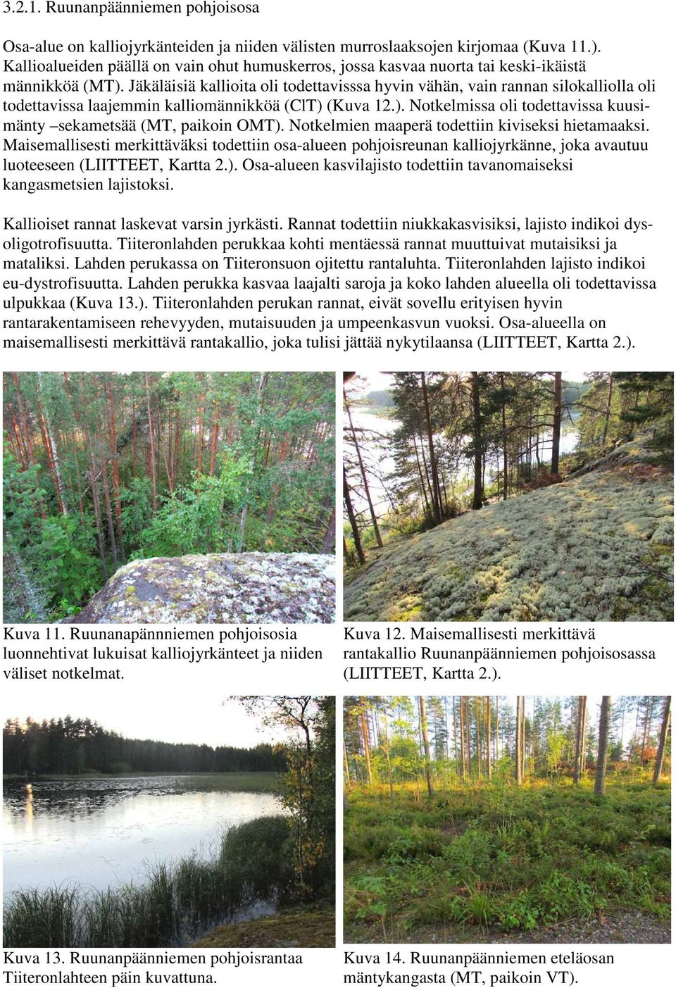 Jäkäläisiä kallioita oli todettavisssa hyvin vähän, vain rannan silokalliolla oli todettavissa laajemmin kalliomännikköä (ClT) (Kuva 12.). Notkelmissa oli todettavissa kuusimänty sekametsää (MT, paikoin OMT).