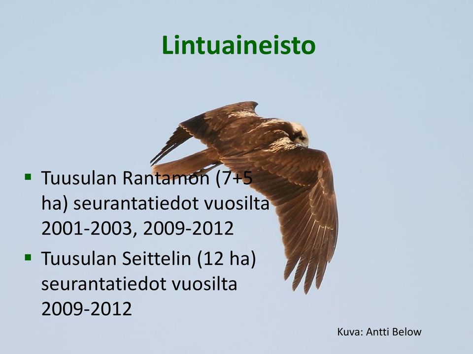 2009-2012 Tuusulan Seittelin (12 ha)