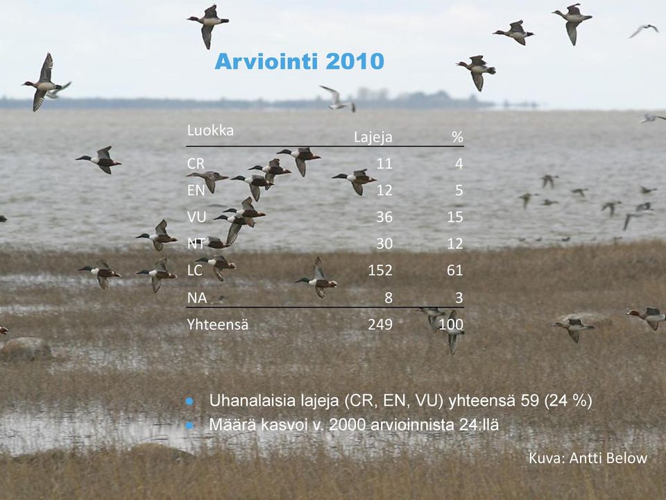 Uhanalaisia lajeja (CR, EN, VU) yhteensä 59 (24 %)