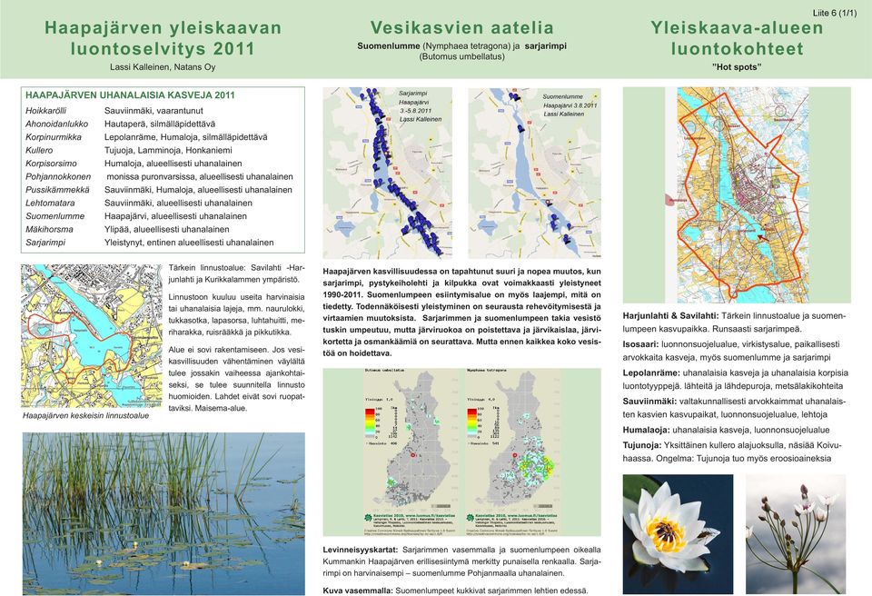 Lepolanräe, Hualoja, silälläpidettävä Tujuoja, Lainoja, Honkaniei Hualoja, alueellisesti uhanalainen onissa puronvarsissa, alueellisesti uhanalainen Sauviinäki, Hualoja, alueellisesti uhanalainen