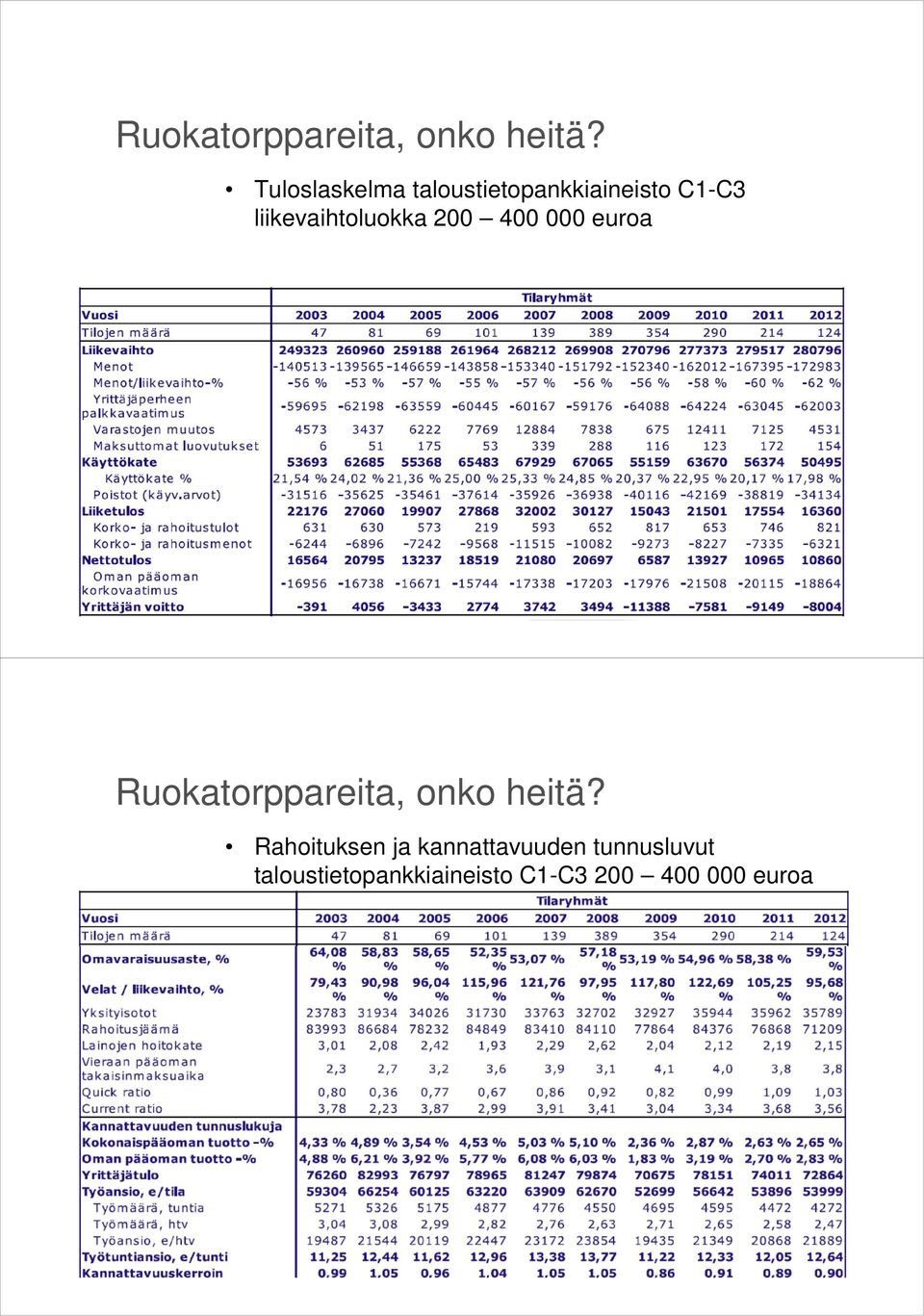 liikevaihtoluokka 200 400 000 euroa  Rahoituksen ja