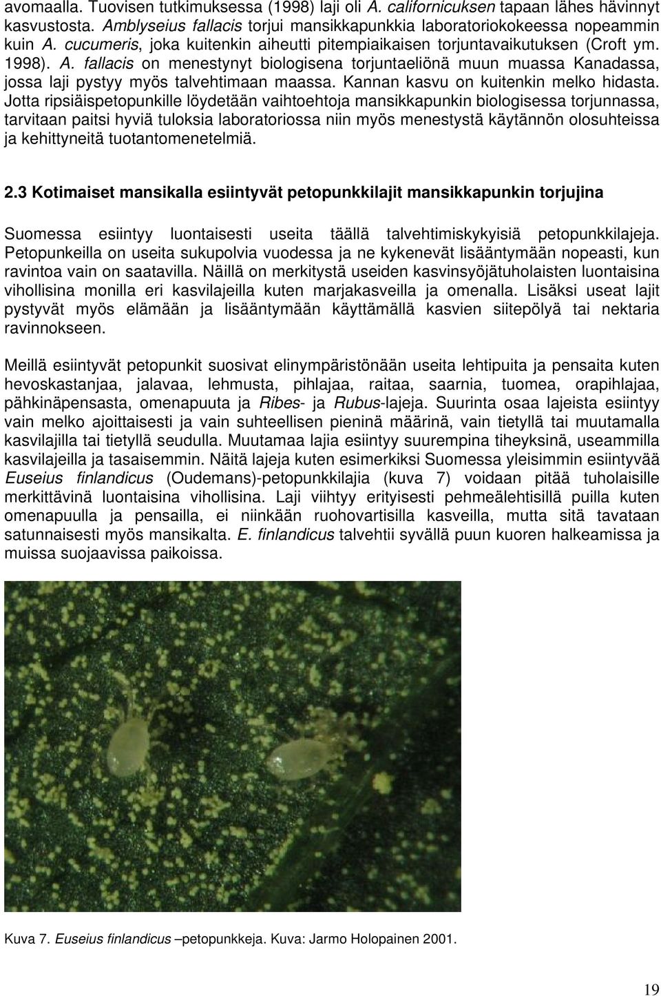 fallacis on menestynyt biologisena torjuntaeliönä muun muassa Kanadassa, jossa laji pystyy myös talvehtimaan maassa. Kannan kasvu on kuitenkin melko hidasta.