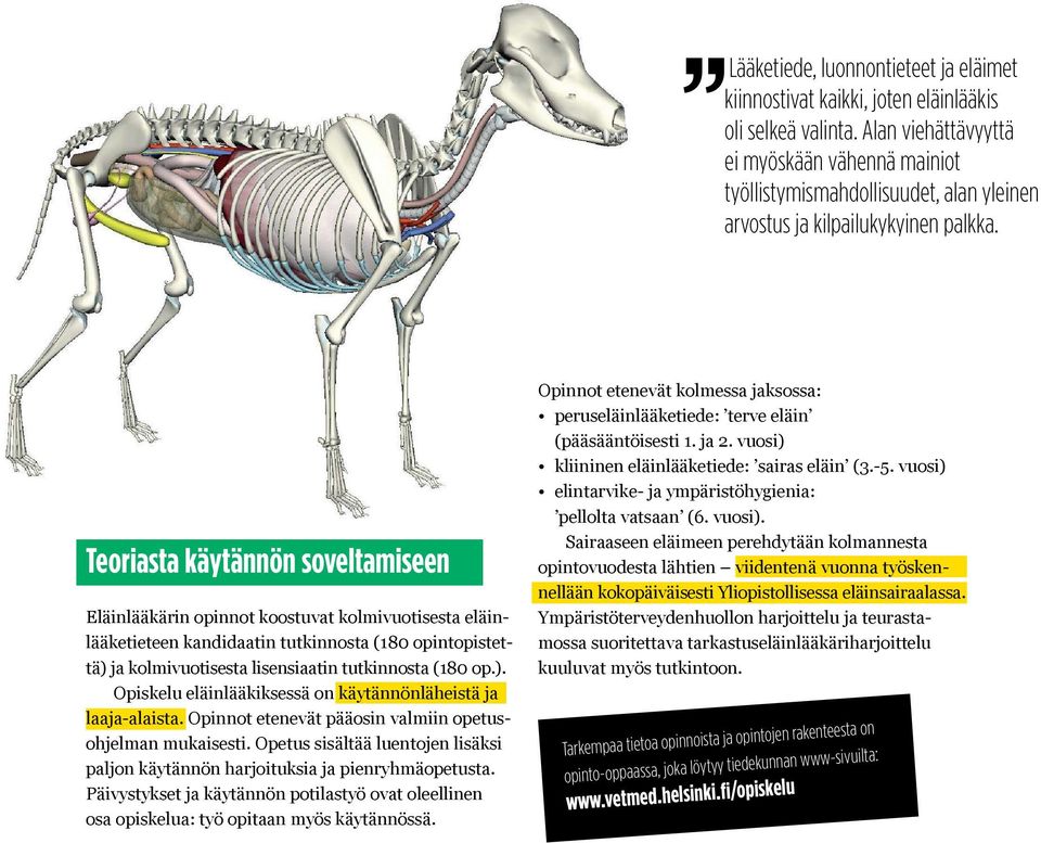 Teoriasta käytännön soveltamiseen Eläinlääkärin opinnot koostuvat kolmivuotisesta eläinlääketieteen kandidaatin tutkinnosta (180 opintopistettä) 