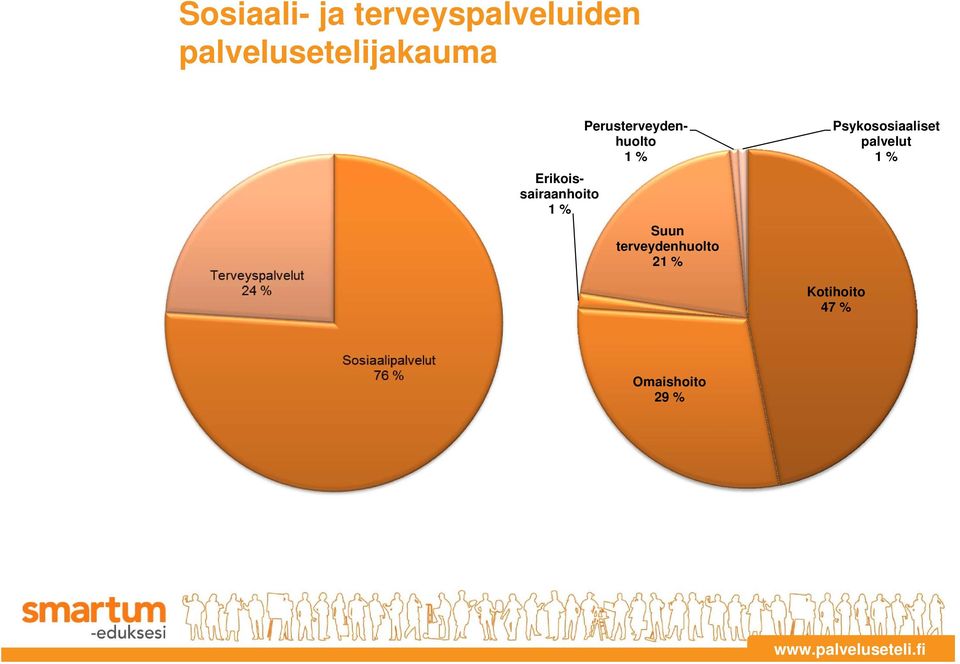 Perusterveydenhuolto 1 % Suun terveydenhuolto