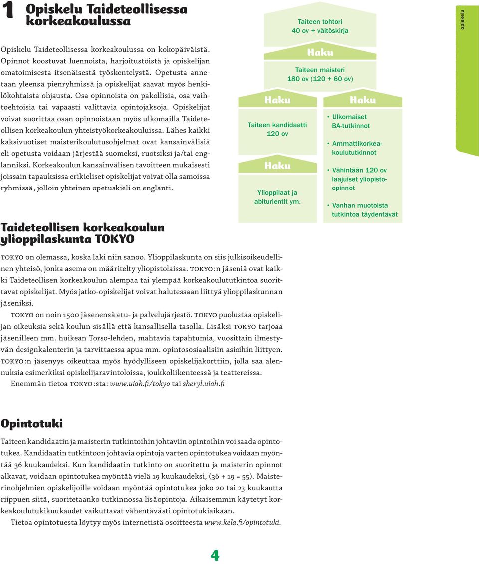 Osa opinnoista on pakollisia, osa vaihtoehtoisia tai vapaasti valittavia opintojaksoja.