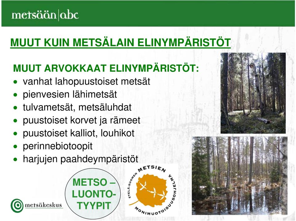 metsäluhdat puustoiset korvet ja rämeet puustoiset kalliot,