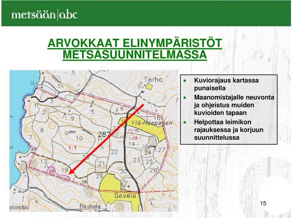 neuvonta ja ohjeistus muiden kuvioiden tapaan