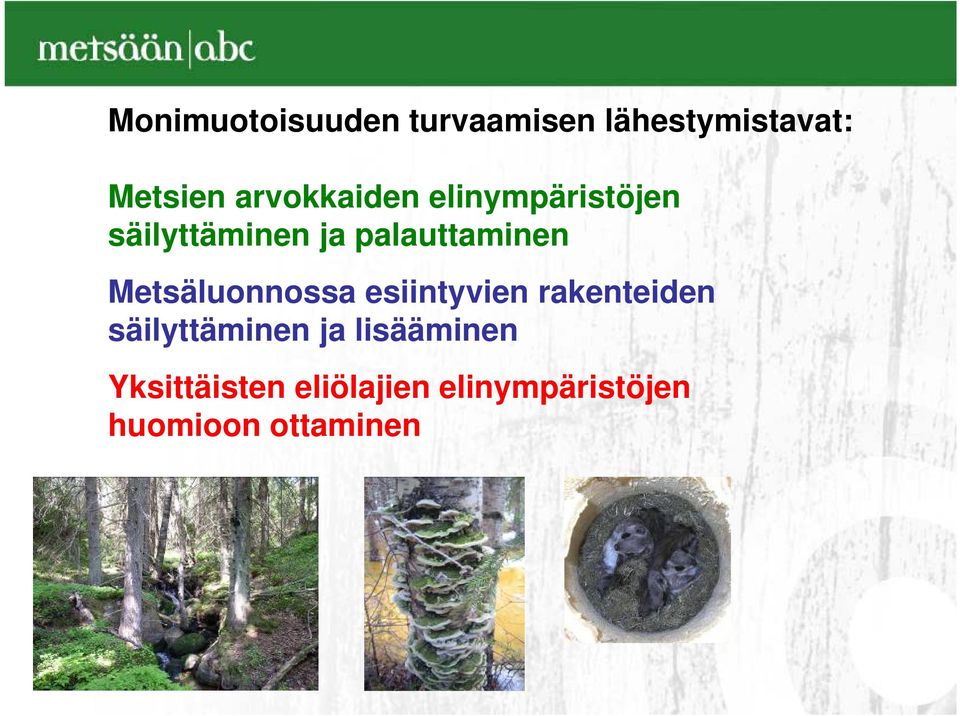 Metsäluonnossa esiintyvien rakenteiden säilyttäminen ja