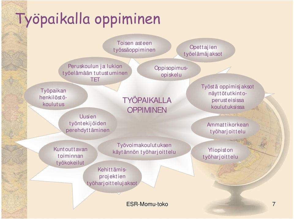 Oppisopimusopiskelu Kehittämisprojektien työharjoittelujaksot TYÖPAIKALLA OPPIMINEN Työvoimakoulutuksen käytännön